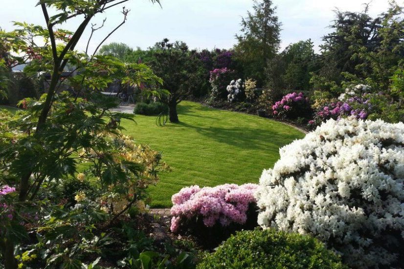 Gartenplanung mit klarer Wegefuehrung, Sitzbereich und strukturierter Bepflanzung
