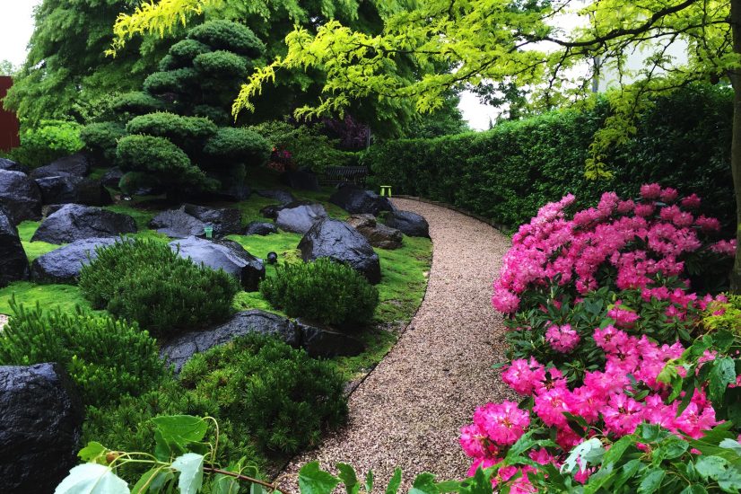 Privatgarten mit geplanter Raumaufteilung und harmonischer Gartengestaltung