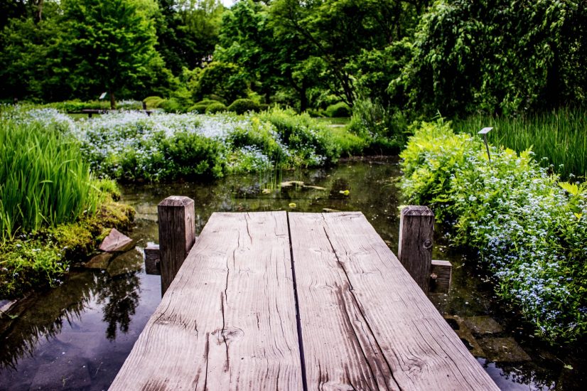 schwimmteiche wasserlaeufe und pools 3 1