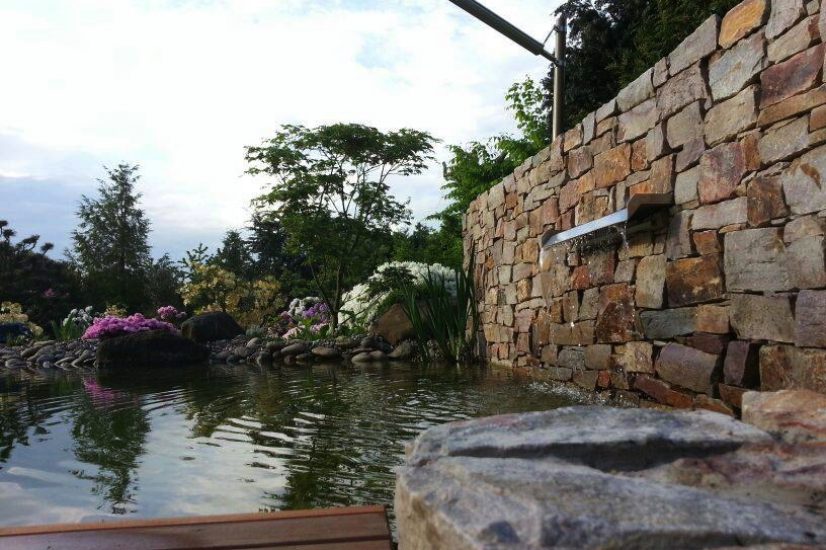 Wasserbereich mit Pool- oder Teichcharakter als ruhiger Mittelpunkt im Garten