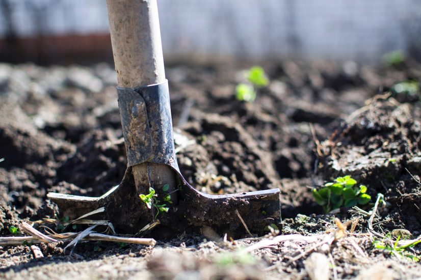 Gepflegter Gartenraum mit strukturierter Bepflanzung und ruhiger Wegefuehrung