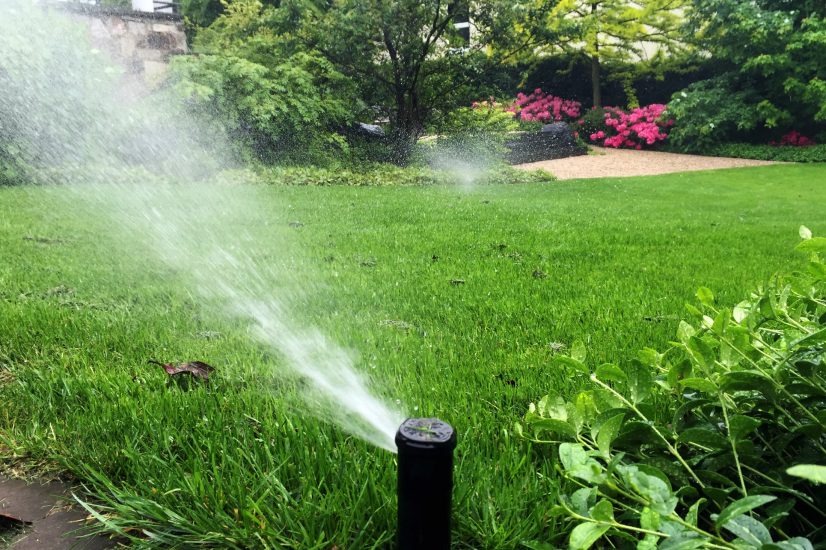 Bestandsgarten mit ausgewogener Pflege, Bewaesserung und geordneter Bepflanzung